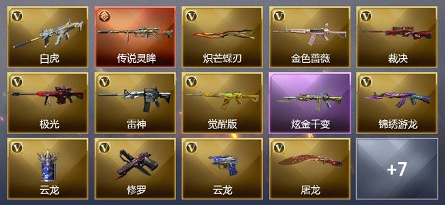 穿越火线（CF）1传说武器 1王者武器 1炫金武器 30V武器 15V角色 3皮肤 可排位