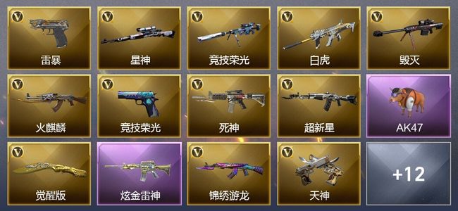穿越火线（CF）2王者武器 1炫金武器 31V武器 10V角色 3皮肤 可排位