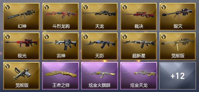 穿越火线（CF）5王者武器 2炫金武器 27V武器 11V角色 3皮肤 可排位