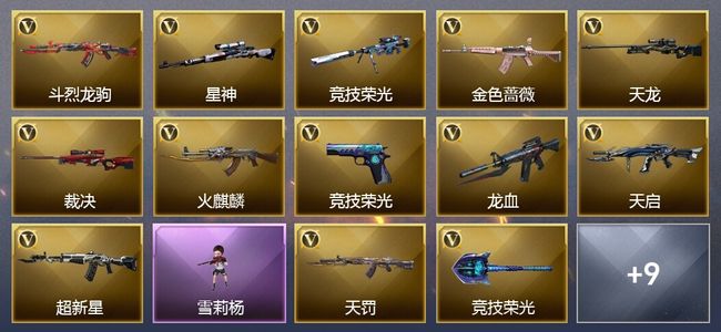 穿越火线（CF）43V武器 24V角色 3皮肤 可排位