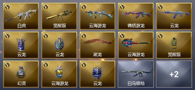 穿越火线（CF）2王者武器 11V武器 13V角色 1皮肤 可排位