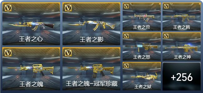 穿越火线：枪战王者32王者武器 265英雄武器 11英雄角色 549万化 专家S