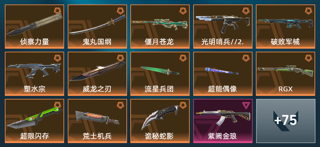 无畏契约10橙皮 1金皮 5紫皮 1皮肤 1皮肤总价值 1已用源晶