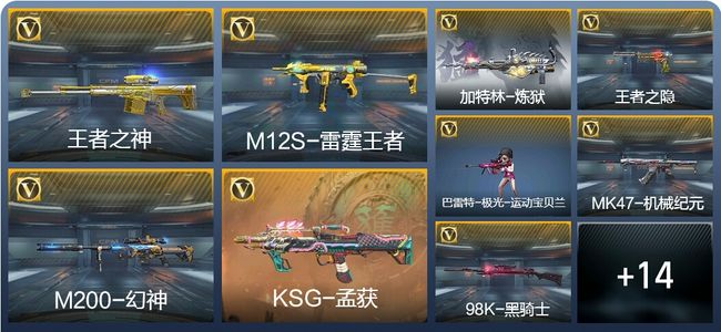 穿越火线：枪战王者V8 新锐