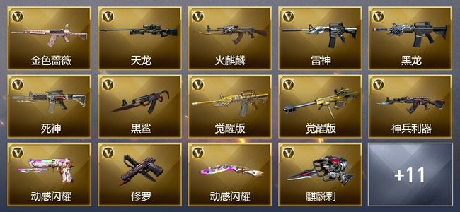 穿越火线（CF）19V武器 11皮肤 可排位 新锐