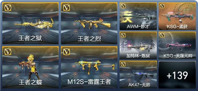 穿越火线：枪战王者V5 6王者武器 170英雄武器 4英雄角色 289万化 专家S