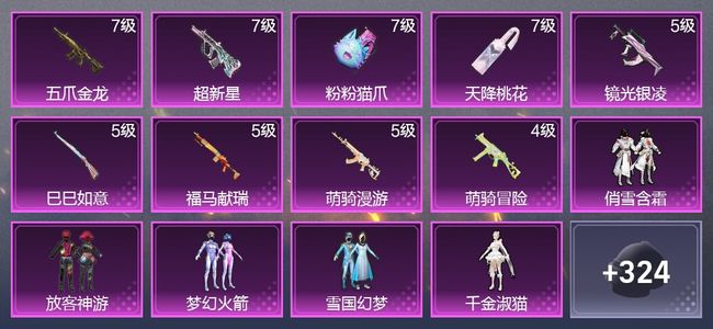 和平精英9升级枪 6粉装 3尾迹 218枪皮 131套装 66538热力 9印记 星钻