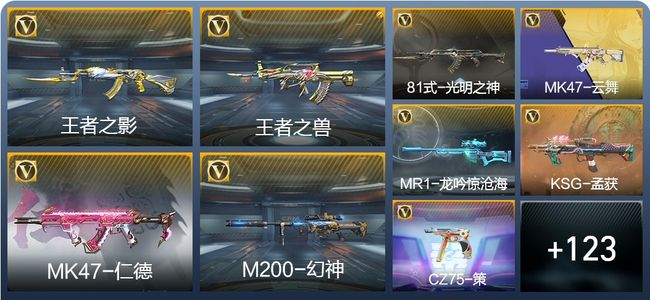 穿越火线：枪战王者V5 3王者武器 156英雄武器 1英雄角色 263万化 枪圣