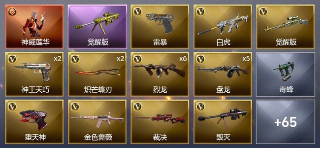 穿越火线（CF）1传说角色 1传说武器 5王者武器 1炫金武器 116V武器 6V角色 21皮肤 可排位