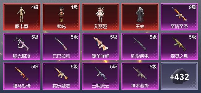 和平精英5载具 20升级枪 16粉装 16尾迹 258枪皮 153套装 9,8269热力 10印记 超级王牌