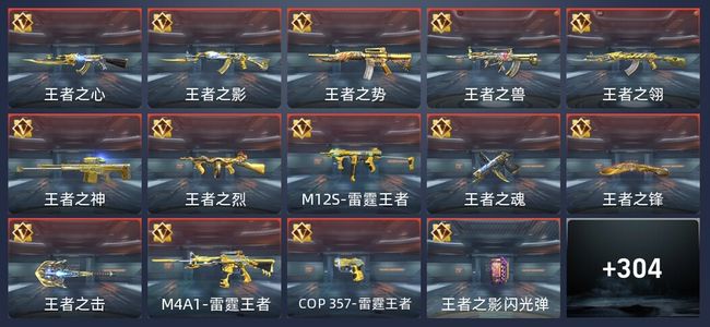 穿越火线：枪战王者42王者 308英雄武器 10英雄角色 492万化 新锐