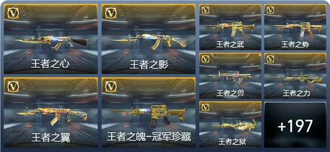 穿越火线：枪战王者V8 36王者武器 206英雄武器 9英雄角色 445万化 传奇