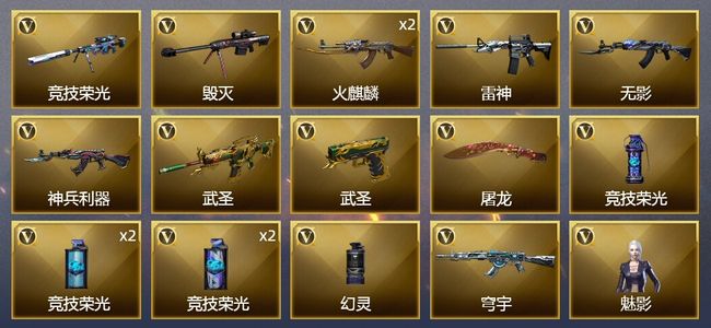 穿越火线（CF）17V武器 1V角色 7皮肤 可排位 传奇