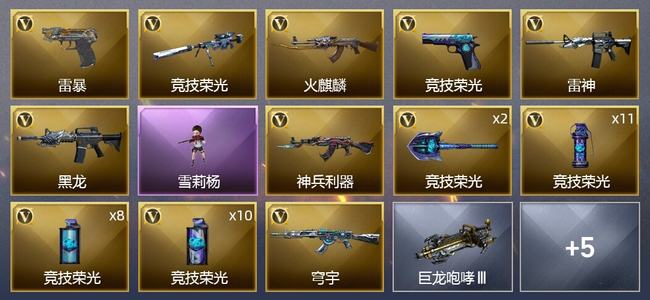 穿越火线（CF）39V武器 1V角色 2皮肤 可排位 专家