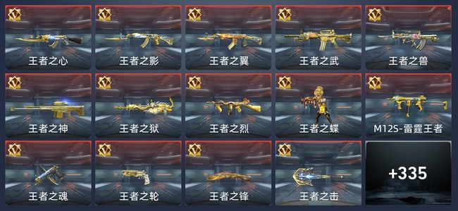 穿越火线：枪战王者V8 35王者 339英雄武器 10英雄角色 471万化 枪圣