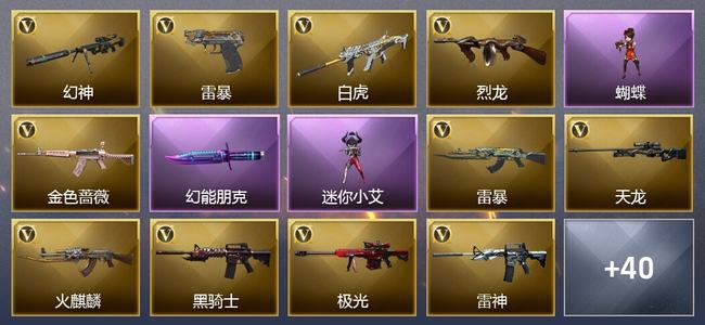 穿越火线（CF）1王者武器 49V武器 14皮肤 可排位 新锐