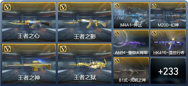 穿越火线：枪战王者V5 9王者武器 242英雄武器 9英雄角色 609万化 枪王SS