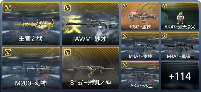 穿越火线：枪战王者1王者武器 145英雄武器 5英雄角色 171万化 枪王SS