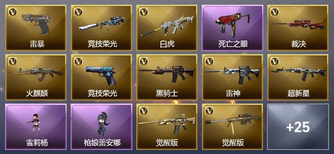 穿越火线（CF）5王者武器 47V武器 2V角色 6皮肤 可排位 传奇