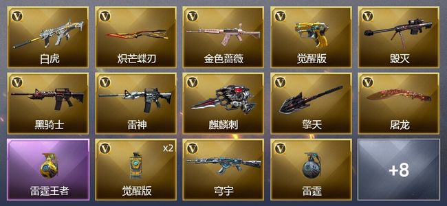 穿越火线（CF）1王者武器 14V武器 6皮肤 可排位 新锐