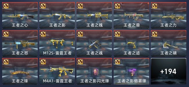 穿越火线：枪战王者28王者 203英雄武器 5英雄角色 377万化 专家S