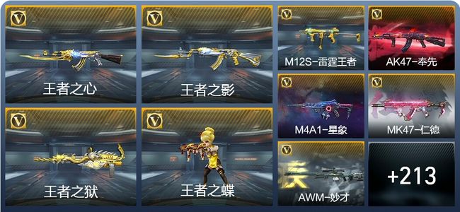 穿越火线：枪战王者12王者武器 223英雄武器 9英雄角色 338万化 专家S