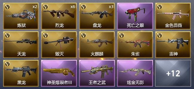 穿越火线（CF）1王者武器 1炫金武器 32V武器 10皮肤 可排位