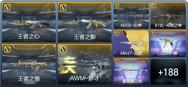 穿越火线：枪战王者V4 7王者武器 204英雄武器 6英雄角色 255万化 枪圣SS