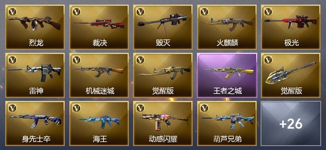 穿越火线（CF）1王者武器 29V武器 15皮肤 可排位 大师