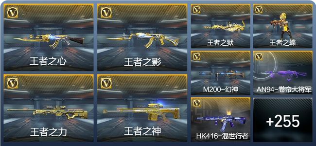 穿越火线：枪战王者15王者武器 264英雄武器 9英雄角色 508万化 专家S