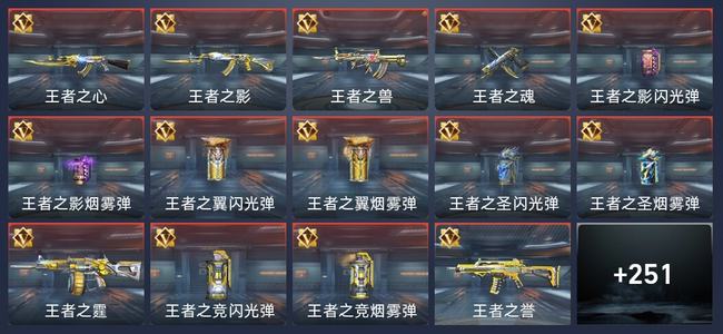 穿越火线：枪战王者15王者 257英雄武器 8英雄角色 451万化 新锐