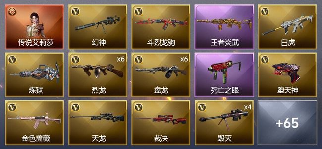 穿越火线（CF）1传说角色 1传说武器 4王者武器 1炫金武器 112V武器 5V角色 27皮肤 可排位 宗师