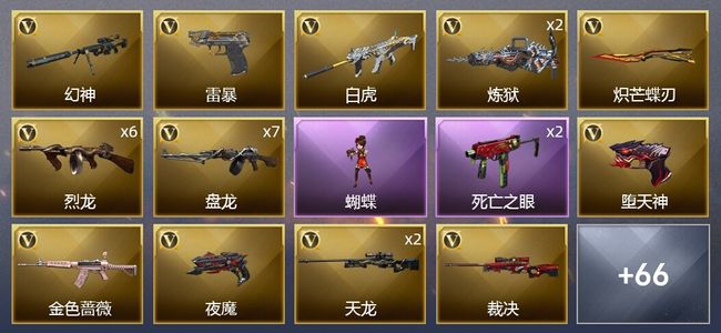 穿越火线（CF）1王者武器 123V武器 2V角色 19皮肤 可排位 新锐
