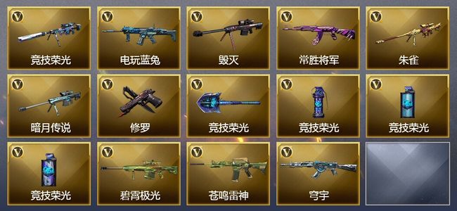 穿越火线（CF）14V武器 8皮肤 可排位 传奇