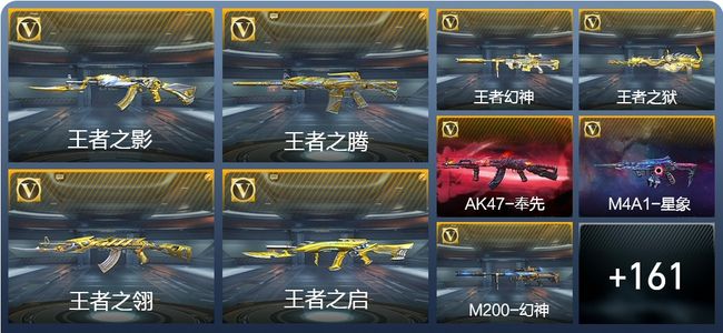 穿越火线：枪战王者V8 25王者武器 251英雄武器 4英雄角色 344万化 枪圣S