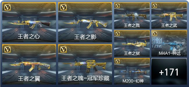 穿越火线：枪战王者V8 15王者武器 248英雄武器 5英雄角色 308万化 枪皇SS