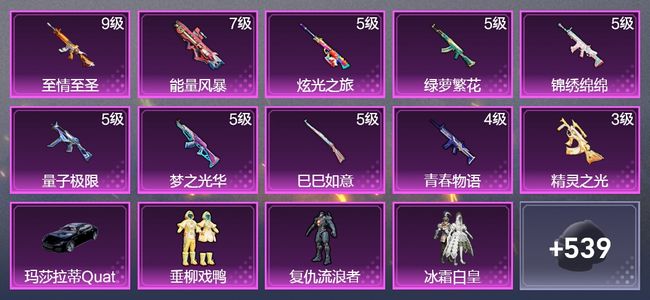 和平精英1载具 10升级枪 13粉装 1飞行器 301枪皮 238套装 102851热力 14印记