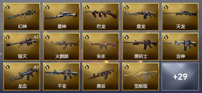穿越火线（CF）1王者武器 47V武器 1V角色 14皮肤 可排位 新锐