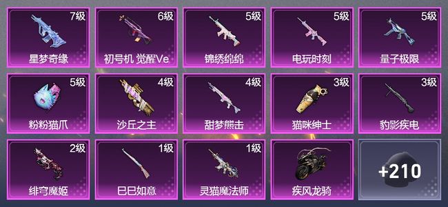 和平精英2载具 13升级枪 4粉装 3飞行器 137枪皮 72套装 63104热力 7印记 星钻