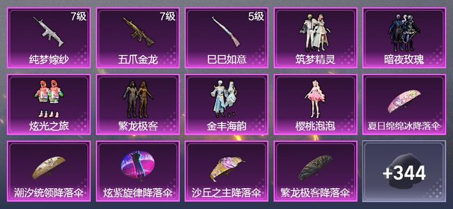 和平精英3升级枪 6粉装 1飞行器 204枪皮 161套装 64808热力 13印记 星钻