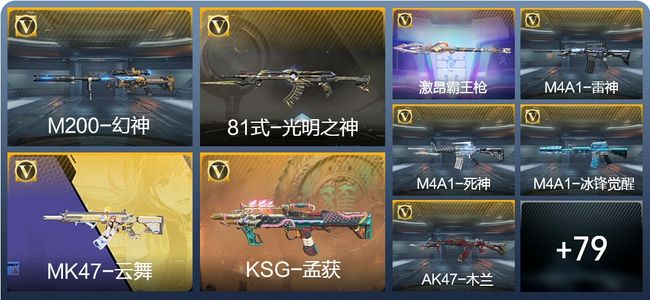 穿越火线：枪战王者V1 1王者武器 121英雄武器 1英雄角色 100万化 枪王SS