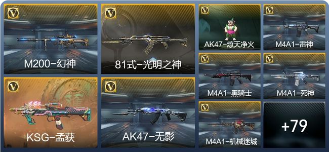 穿越火线：枪战王者V5 2王者武器 114英雄武器 1英雄角色 207万化 大师