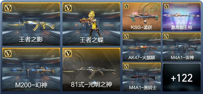穿越火线：枪战王者V3 2王者武器 178英雄武器 2英雄角色 204万化 枪王SS