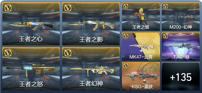 穿越火线：枪战王者【苹果版】V6 15王者武器 194英雄武器 3英雄角色 282万化 枪王SSS