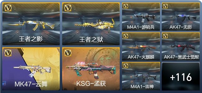 穿越火线：枪战王者【苹果版】V5 4王者武器 186英雄武器 1英雄角色 247万化 枪王SS