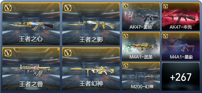 穿越火线：枪战王者V8 36王者武器 425英雄武器 10英雄角色 570万化 枪皇SSS