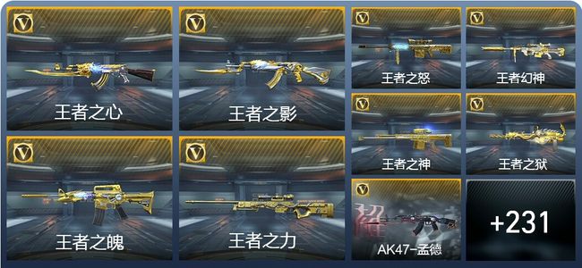 穿越火线：枪战王者V8 37王者武器 328英雄武器 5英雄角色 292万化 枪圣SSS