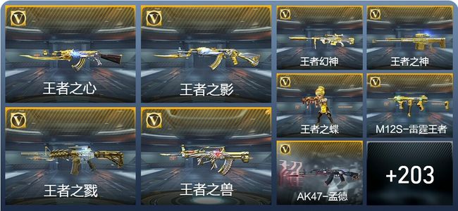 穿越火线：枪战王者V8 30王者武器 329英雄武器 4英雄角色 447万化 专家S