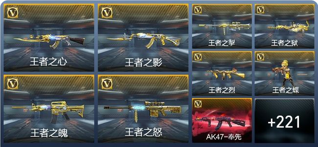 穿越火线：枪战王者V9 40王者武器 252英雄武器 9英雄角色 626万化 枪王S