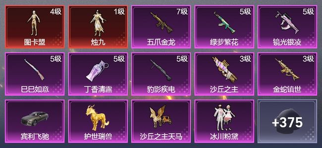 和平精英2载具 8升级枪 9粉装 1飞行器 209枪皮 181套装 78809热力 15印记 王牌